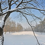 Winter in Lommel